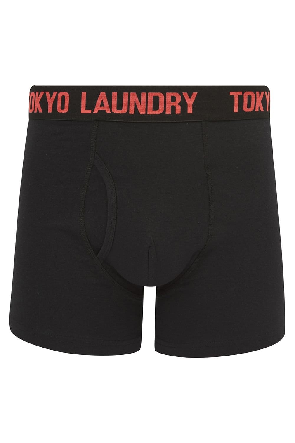 Tokyo Laundry Tokyo Laundry Men's Cotton 6-Pack Boxers in Green - 4