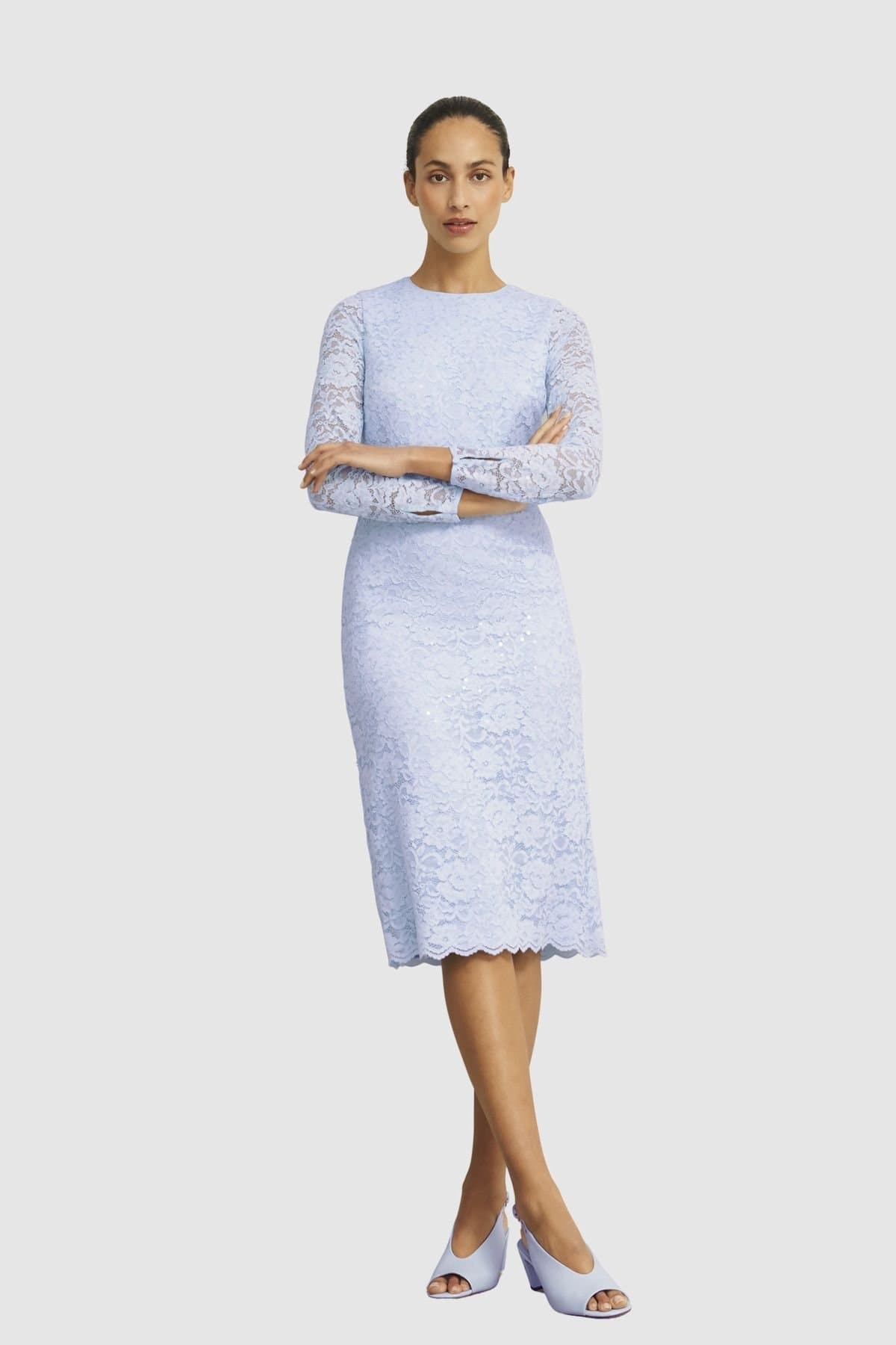 Hobbs London Hobbs London Women's Ottilie Long Sleeve Lace Midi Dress in Baby Blue