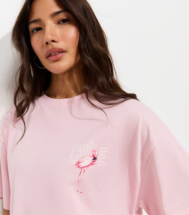 New Look Women's Light Pink Cotton Flamingo Print Oversized T-Shirt New Look - 2