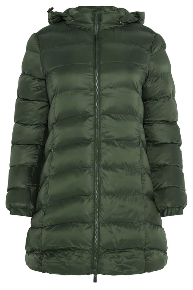 M&Co M&Co Women's Petite Padded Hooded Coat in Dark Green - 2