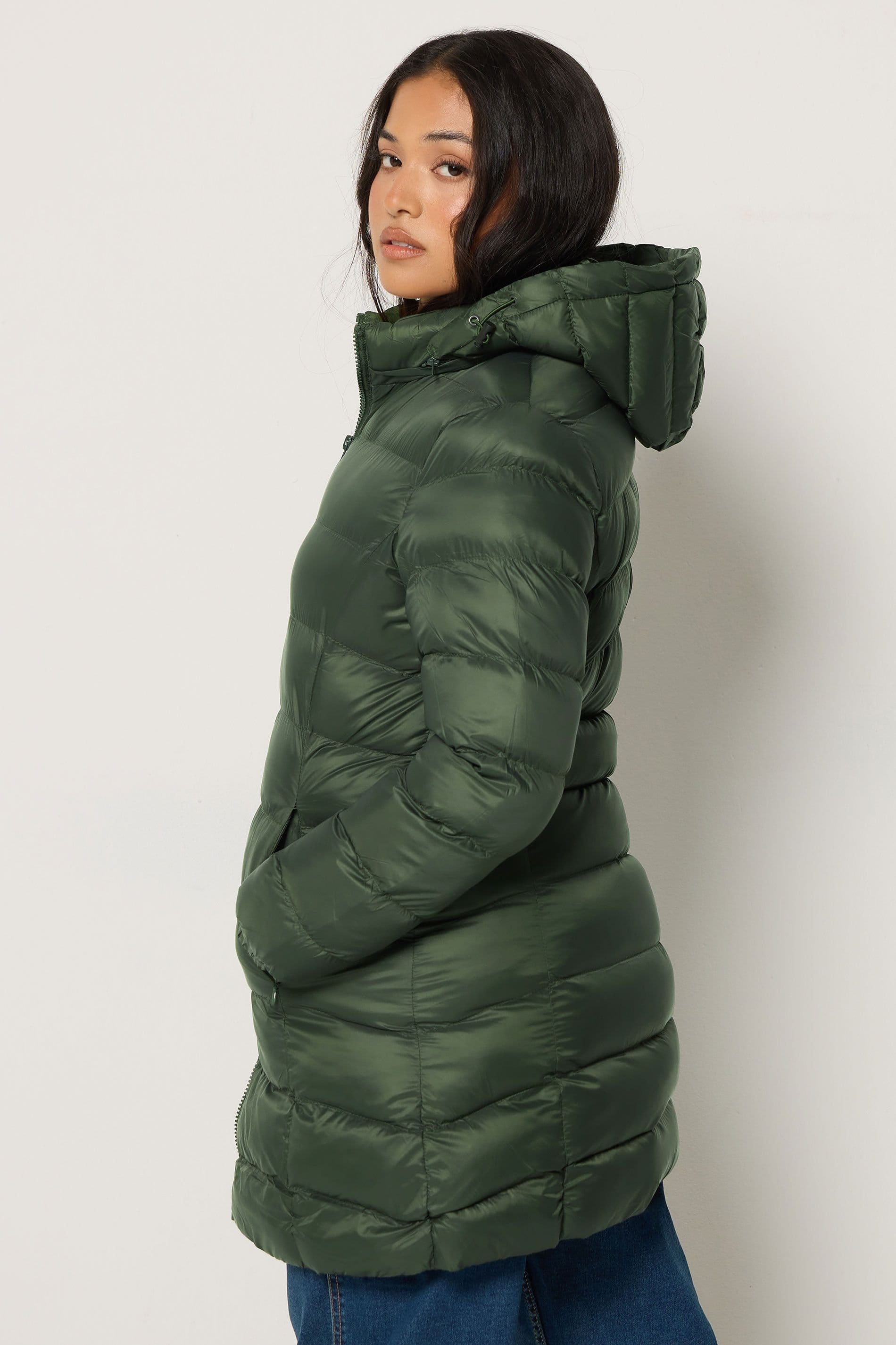M&Co M&Co Women's Petite Padded Hooded Coat in Dark Green - 4