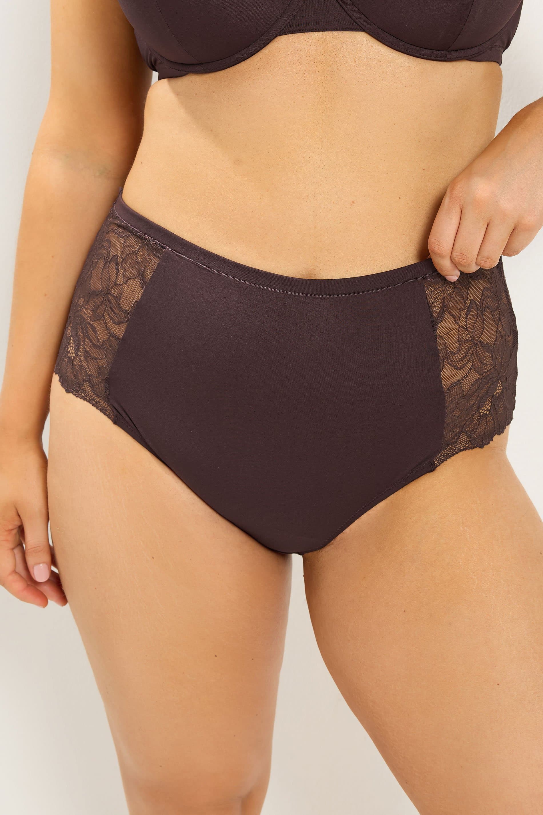 Yours Plus Size Chocolate Brown Microfibre Lace Full Briefs