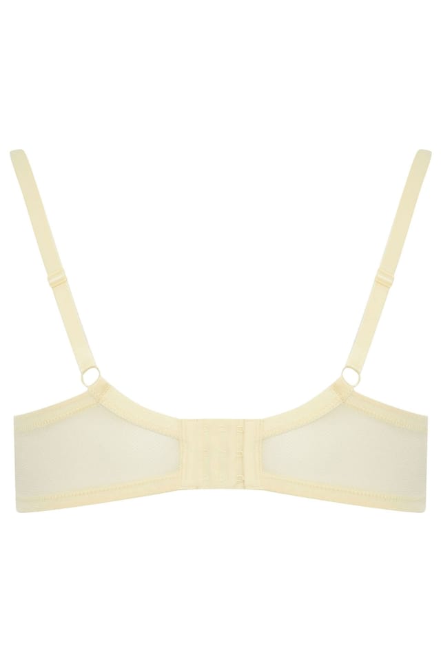 Yours Yours Women's 3 Pack Moulded Underwired T-Shirt Bras - 3