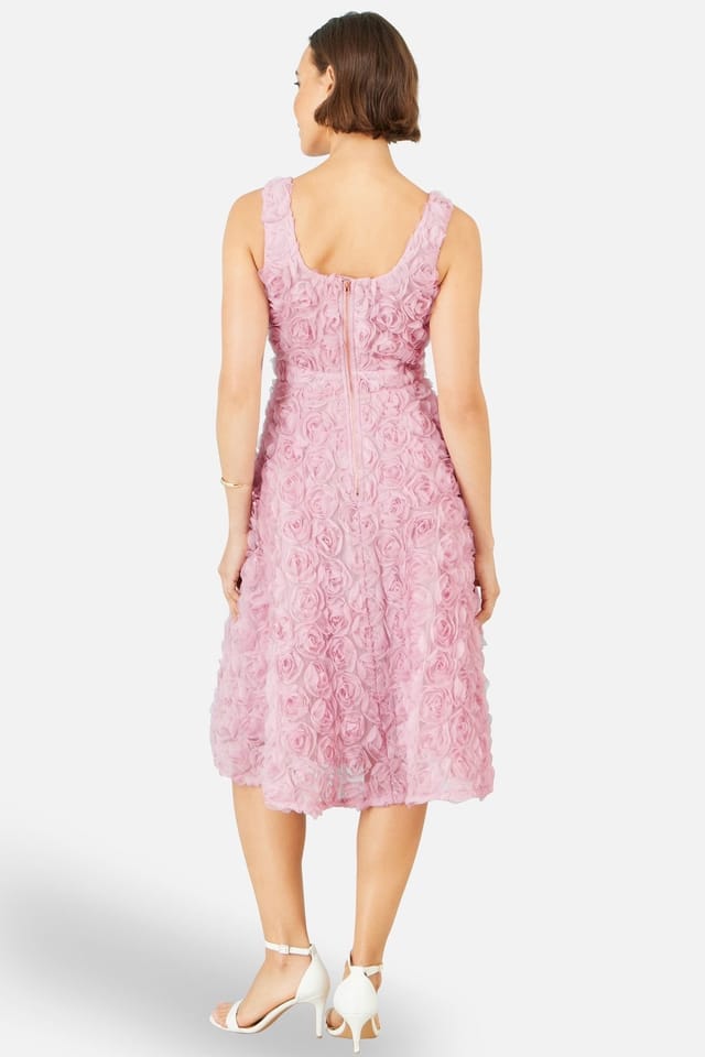 Yumi Yumi Women's Applique Floral Skater Dress in Baby Pink - 3