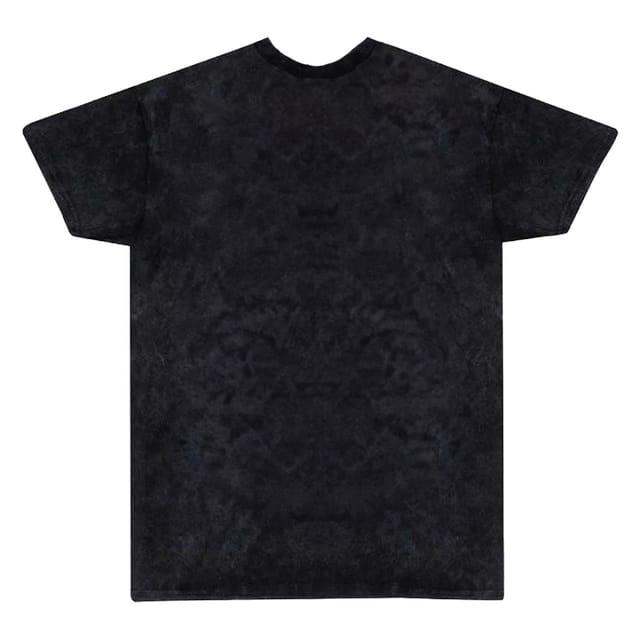 Warner Bros Warner Bros Men's Poster Washed T-Shirt in Black - 2