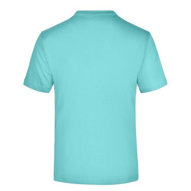 James and Nicholson James and Nicholson Men's Medium Round Neck T-Shirt in Mint - 2