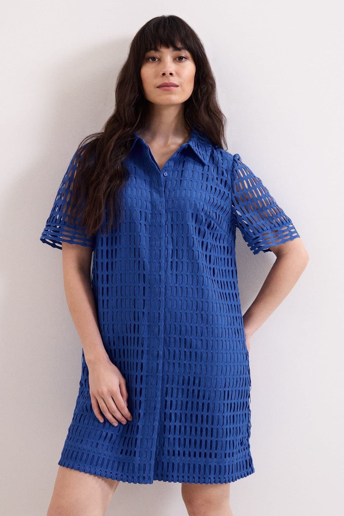 Phase Eight Phase Eight Women's Alina Lace Tunic Dress in Cobalt