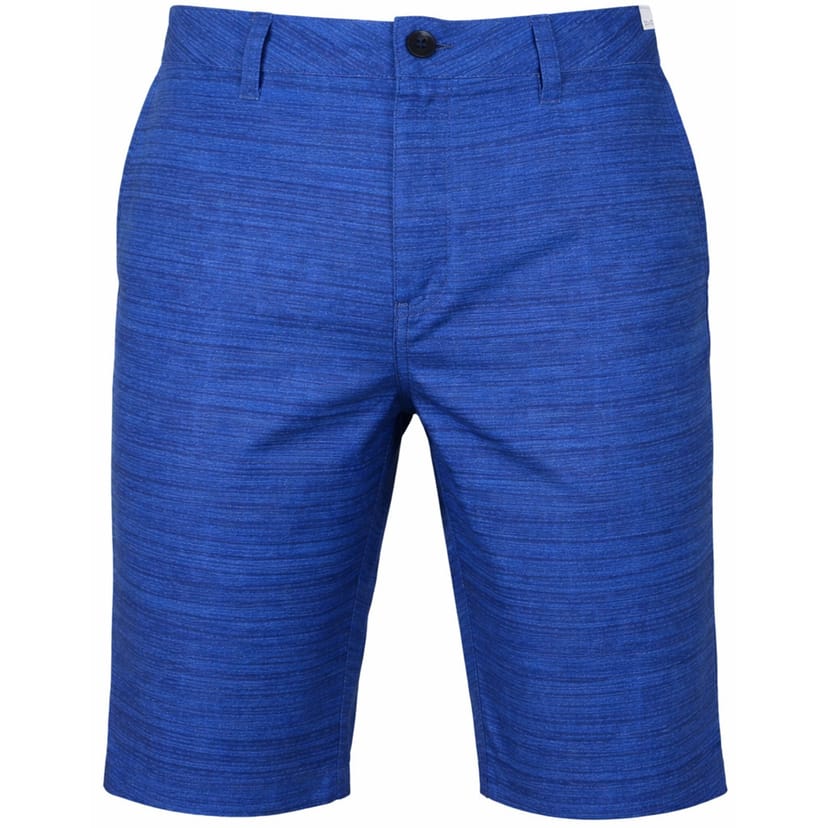 Quiksilver Quiksilver Men's Platypus Amphibian Shorts in Blue - 1