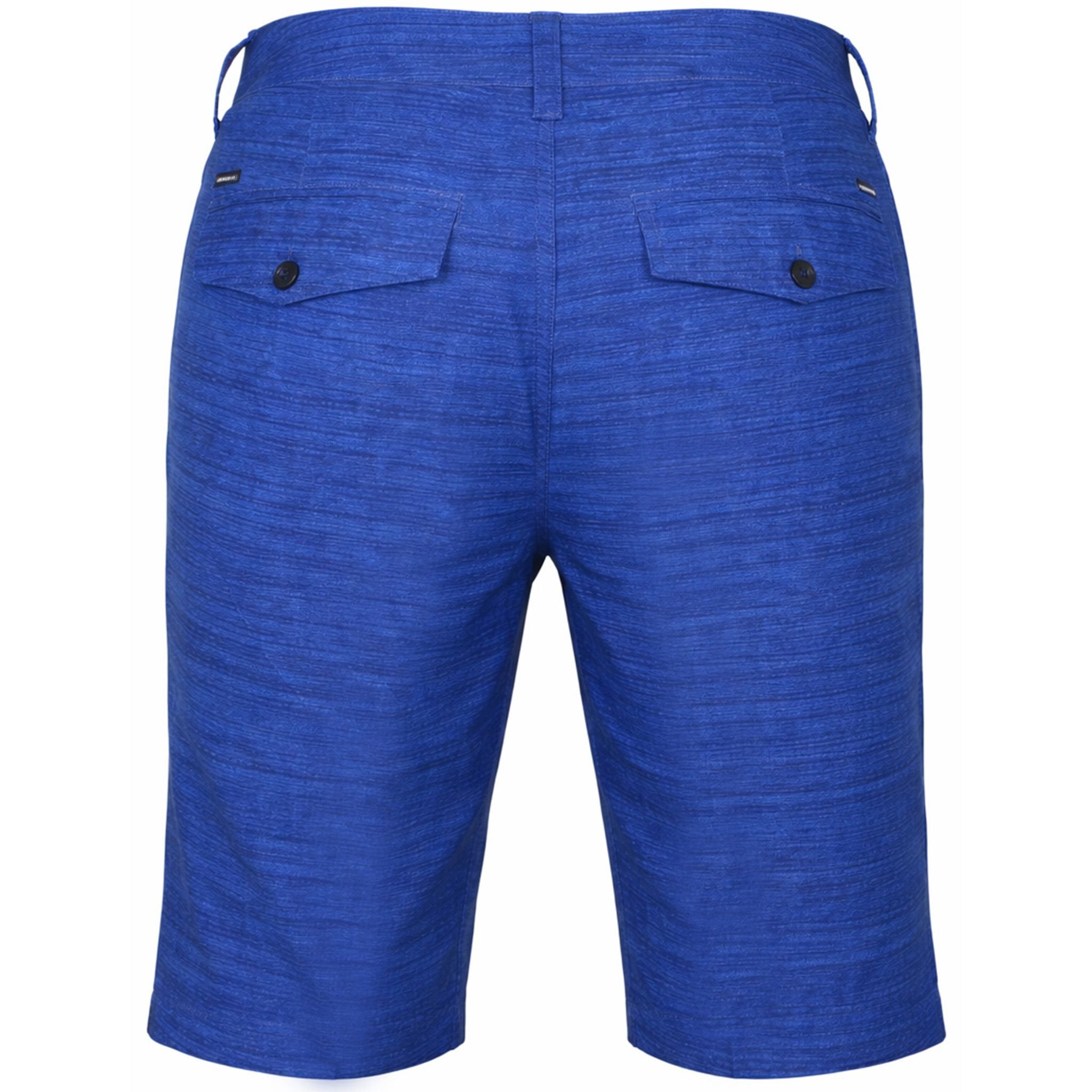 Quiksilver Quiksilver Men's Platypus Amphibian Shorts in Blue - 2