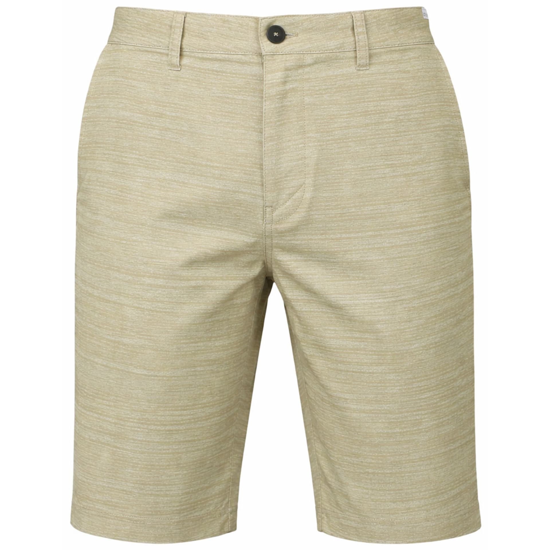Quiksilver Quiksilver Men's Platypus Amphibian Shorts in Beige