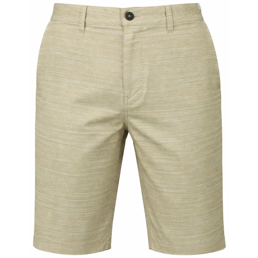Quiksilver Quiksilver Men's Platypus Amphibian Shorts in Beige - 1