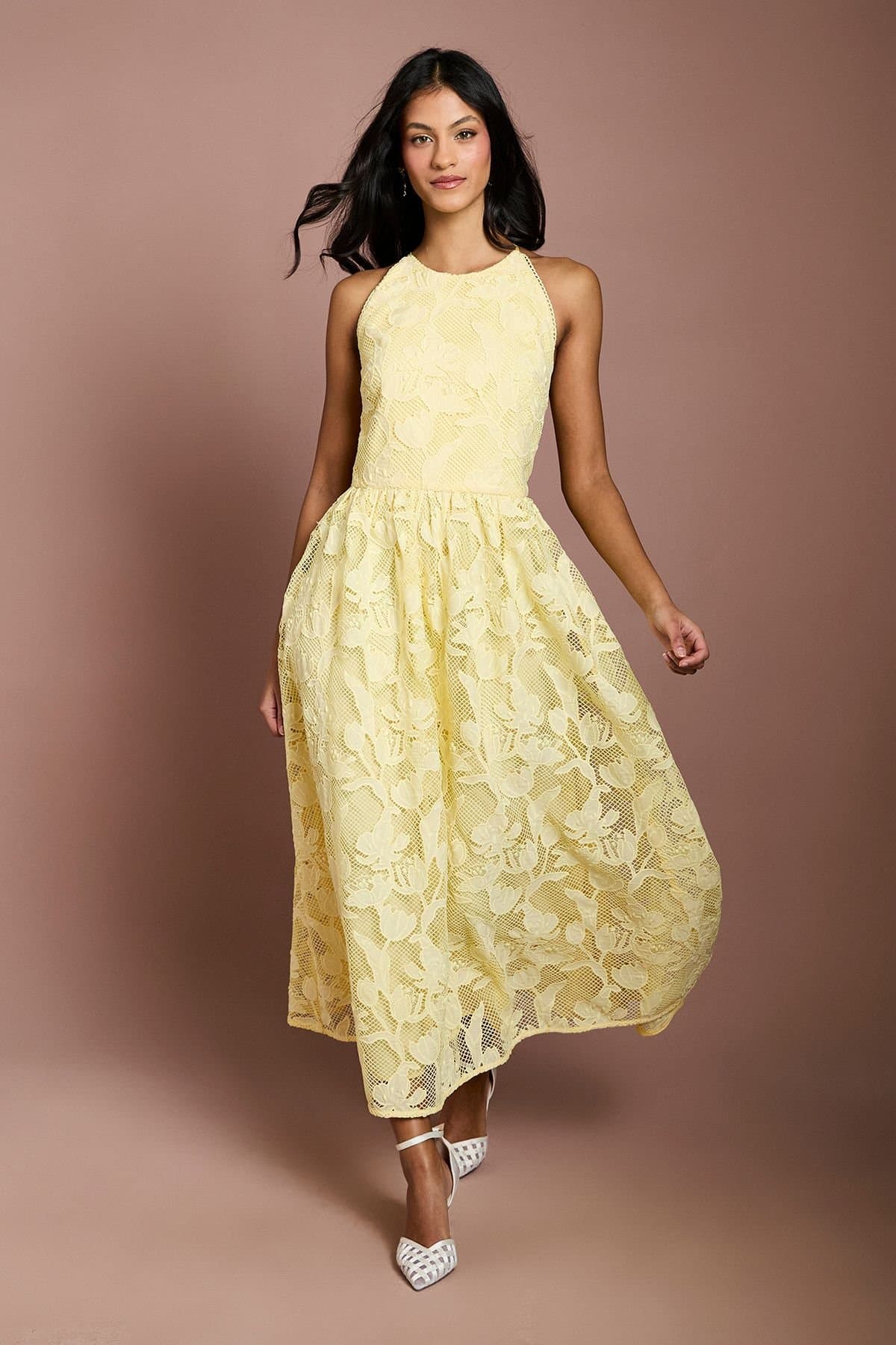 Coast Coast Women's Petite Halterneck Lace Midi Dress in Butter