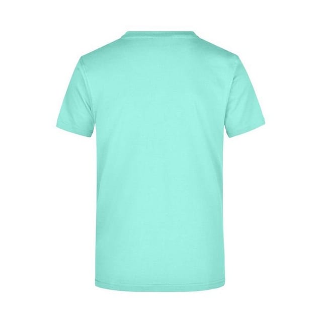 James and Nicholson James and Nicholson Men's Heavyweight Crew Neck T-Shirt in Mint - 2