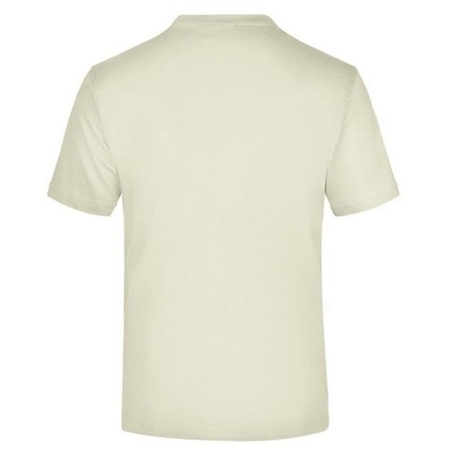 James and Nicholson James and Nicholson Men's Medium Round Neck T-Shirt in Stone - 2