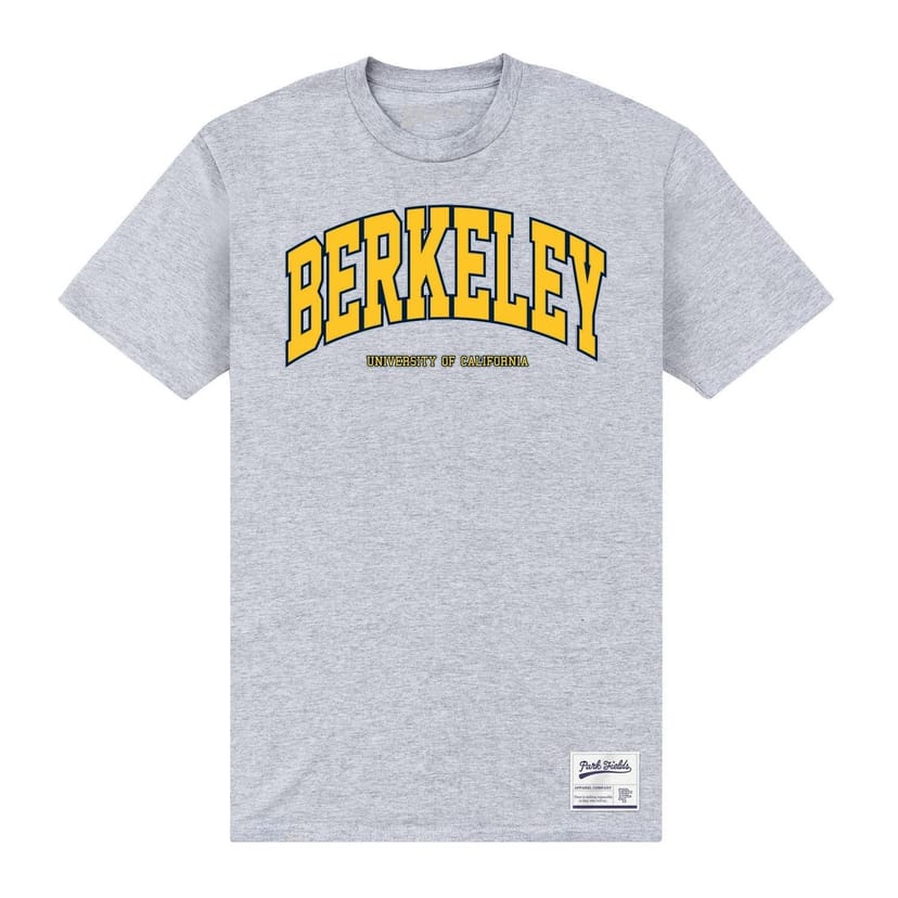 UC Berkeley UC Berkeley Men's Arch Printed Navy T-Shirt in Grey - 1