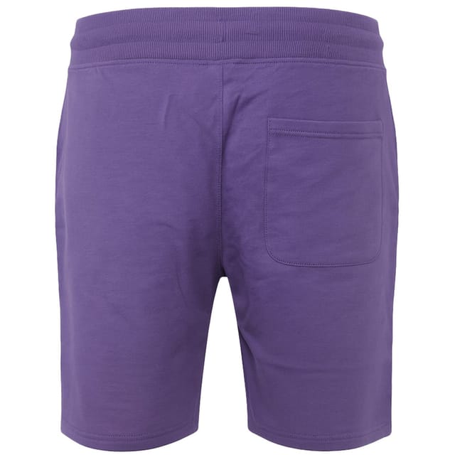 Weekend Offender Weekend Offender Men's Scandium Mauve Shorts in Purple - 3