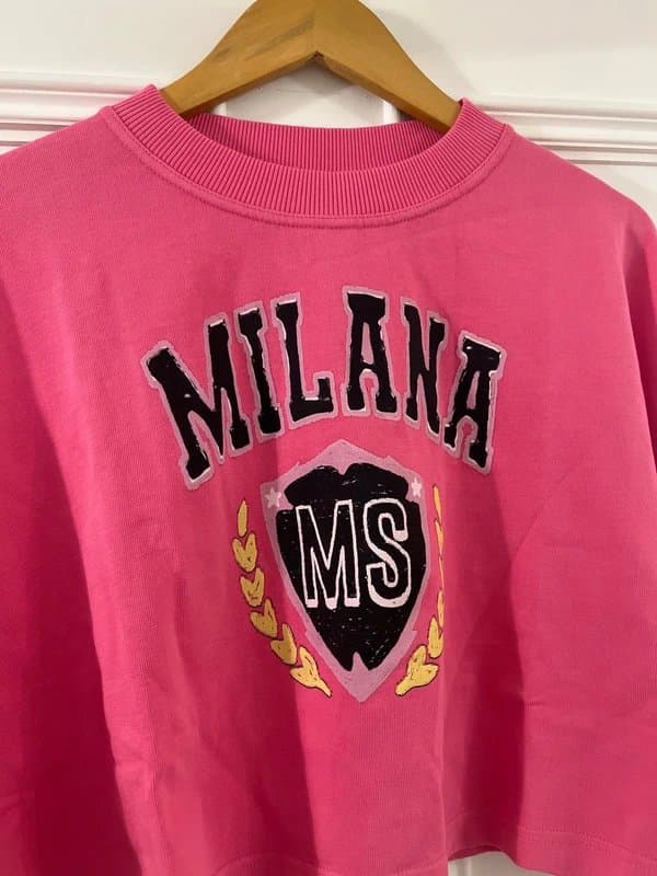 milana studios Milana Studios Pink Crop Heavyweight Tshirt XL