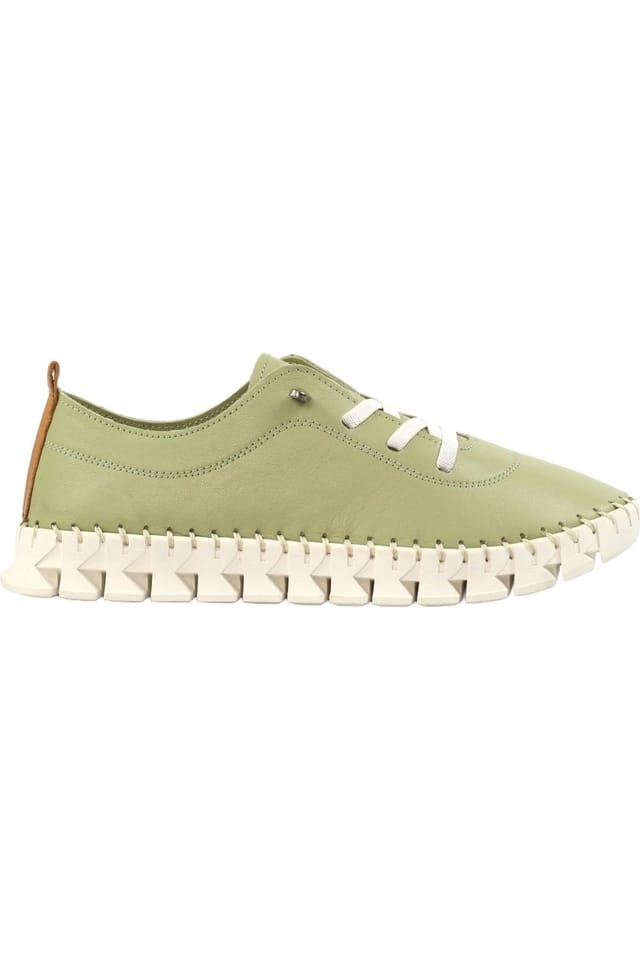 Lunar Lunar Women's St Austell Leather Plimsolls in Green - 3