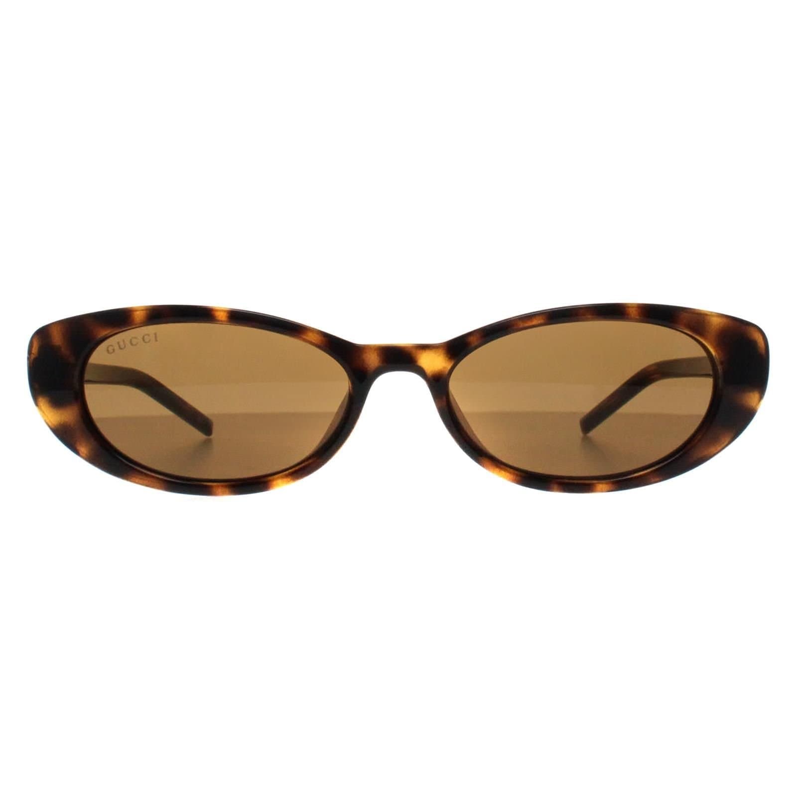 Gucci Gucci Women's Cat Eye Havana Brown GG1680S