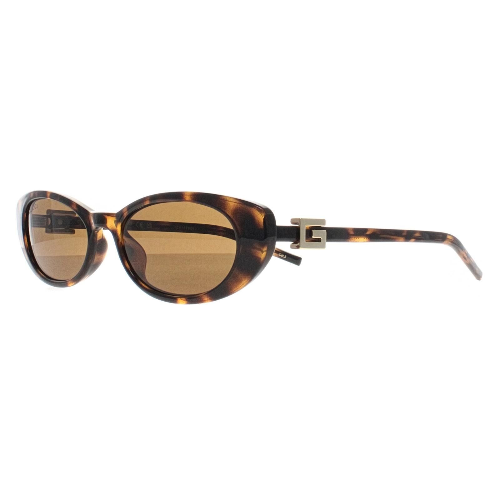 Gucci Gucci Women's Cat Eye Havana Brown GG1680S - 2