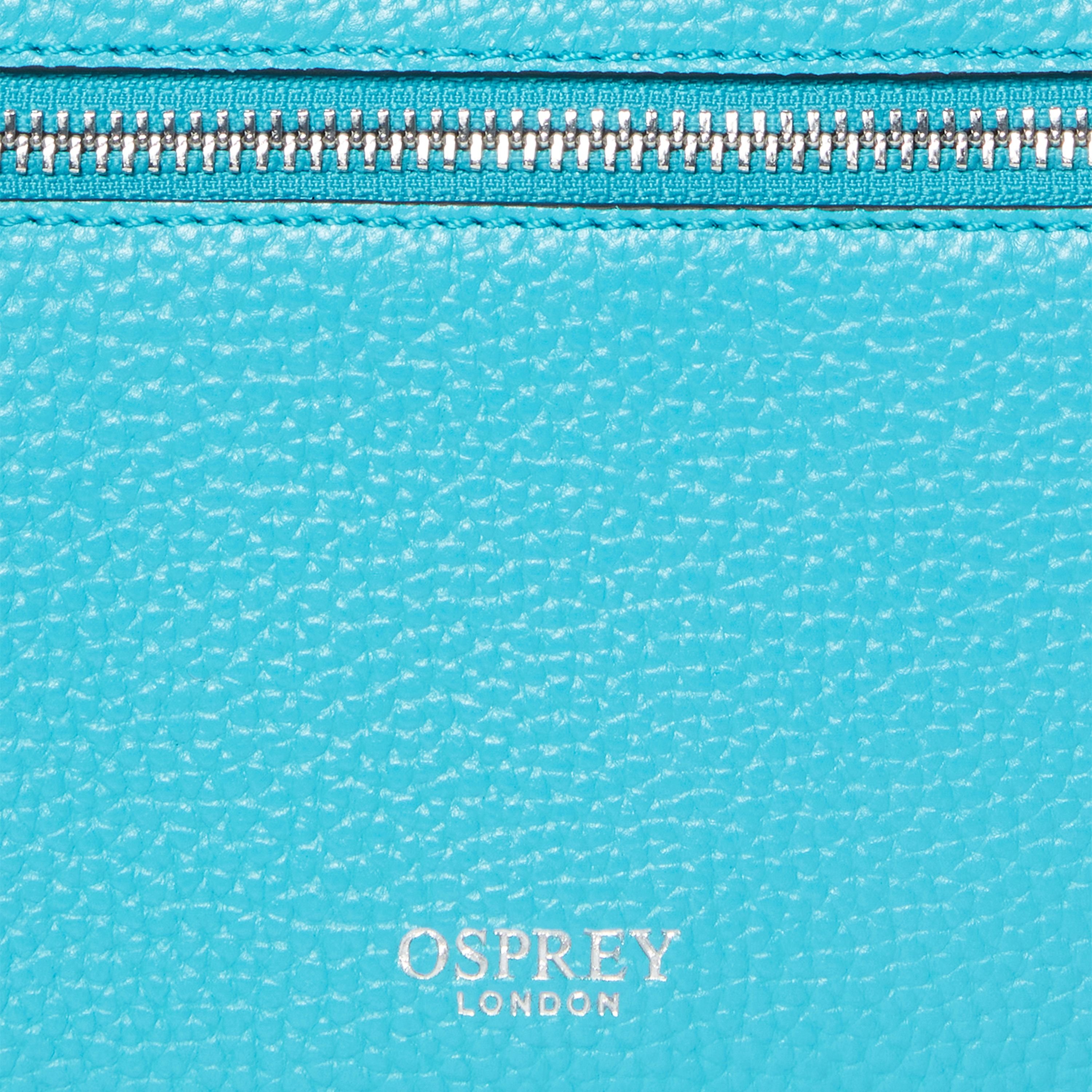 OSPREY LONDON OSPREY LONDON Women's The Ruby Leather Crossbody Clutch Bag in Aqua - 4