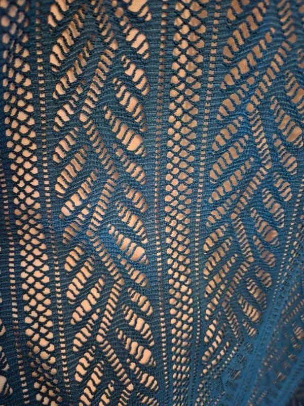 Apricot Apricot dark green lace dress size 12 BNWOT - 1