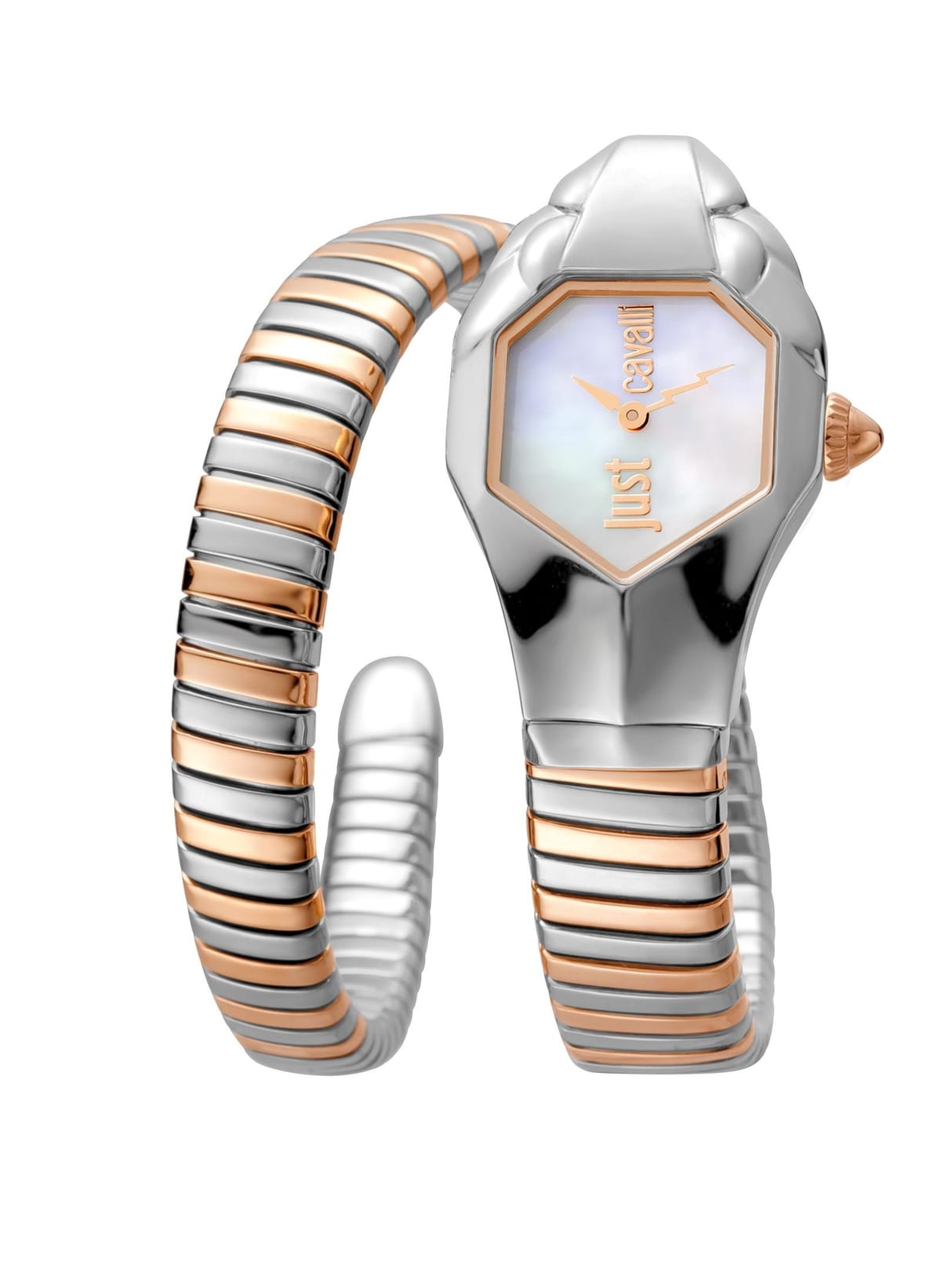 Just Cavalli Just Cavalli Women's Septagon Fashion Champagne Dial Watch in Silver - 1