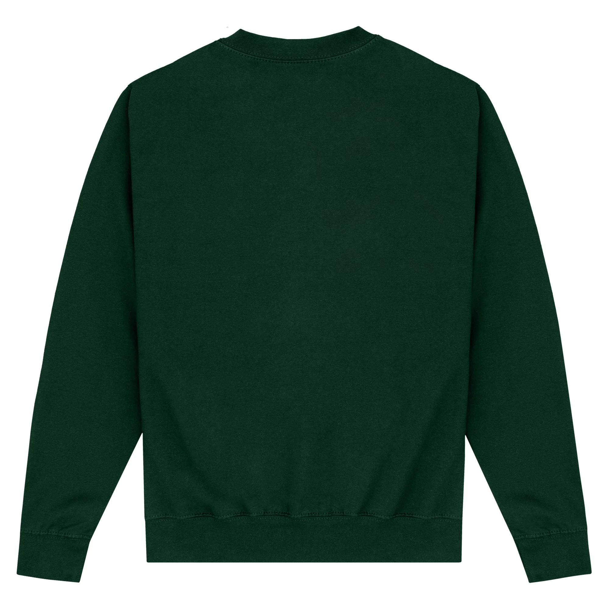 Black Adam Black Adam Men's Cyclone Sweatshirt in Bottle Green - 2