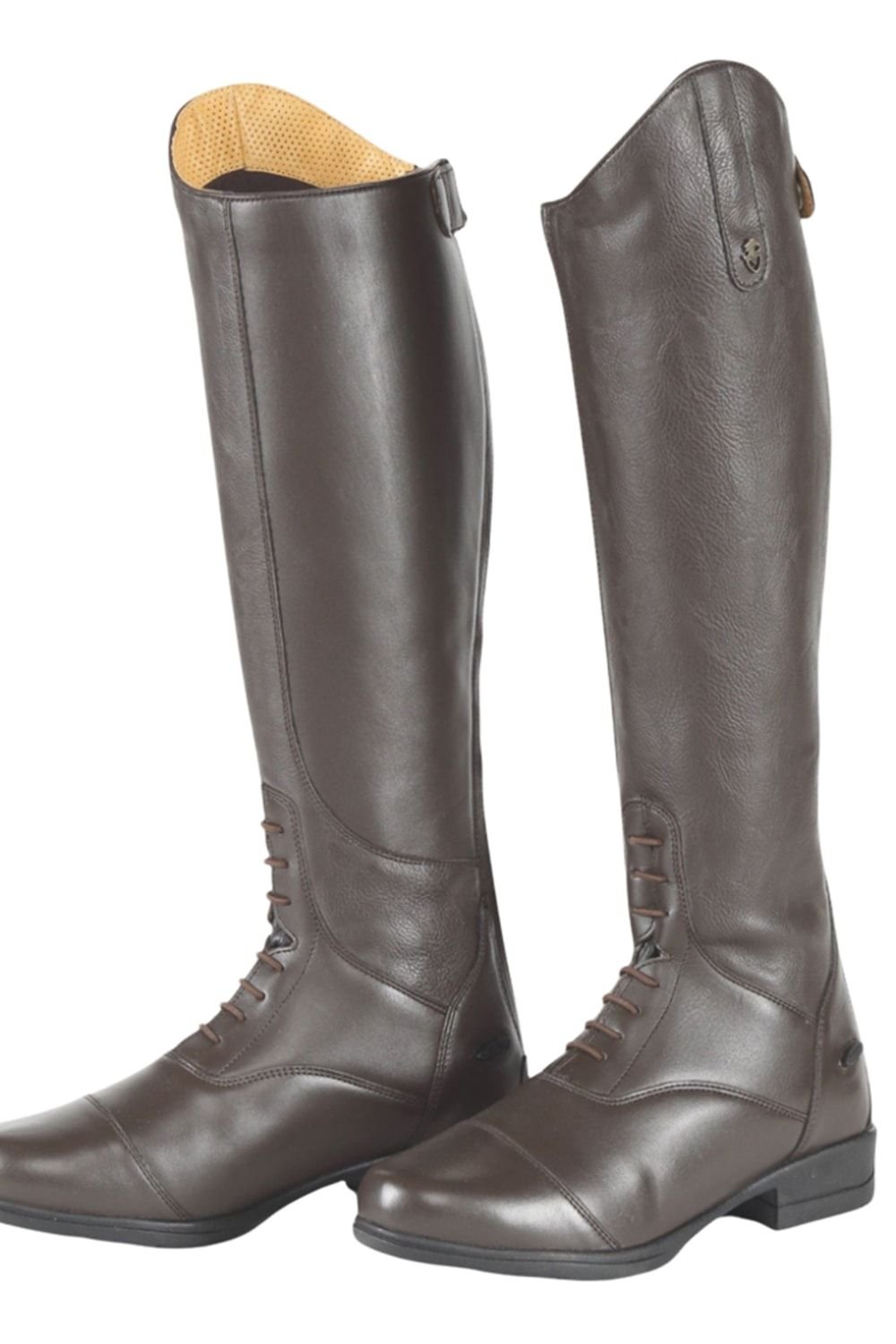 Moretta Moretta Women's Gianna Leather Long Riding Boots in Brown - 2