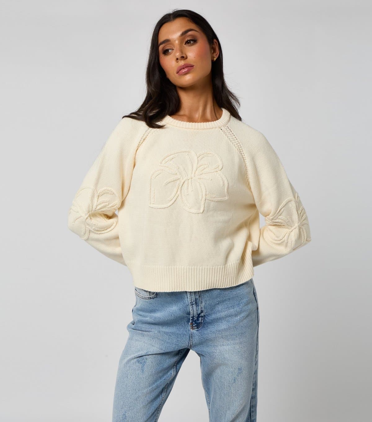 Urban Bliss Women's Cream Crochet Embroidered Raglan Jumper Urban Bliss New Look