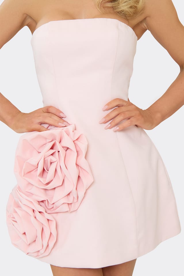 EGO EGO Women's Sleeveless Structured Floral Mini Dress in Pale Pink - 3