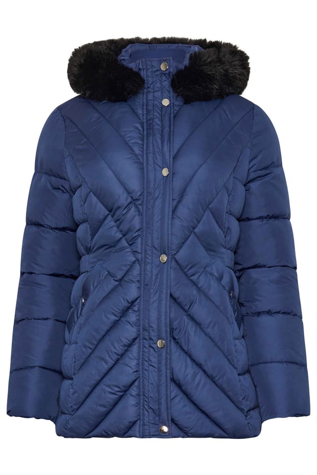 M&Co M&Co Women's Padded Puffer Coat in Blue - 2