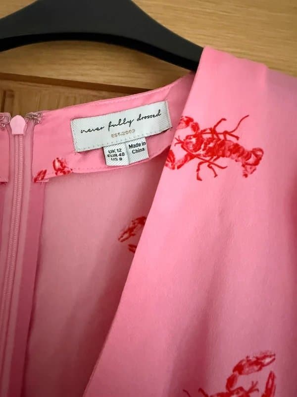 Never Fully Dressed Never fully dressed lobster silk dress