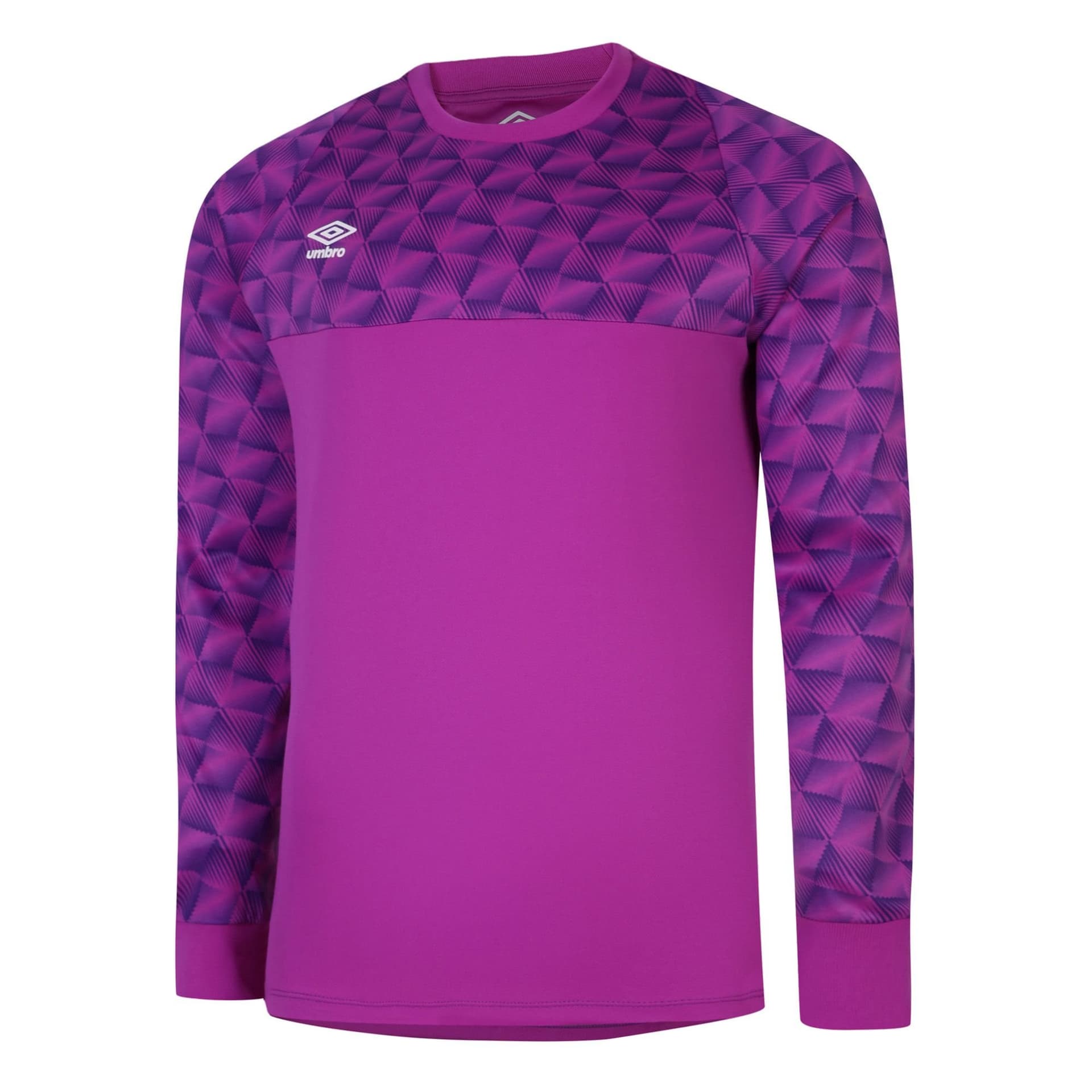 Umbro Umbro Men's Flux Long-Sleeved Goalkeeper Jersey in Purple