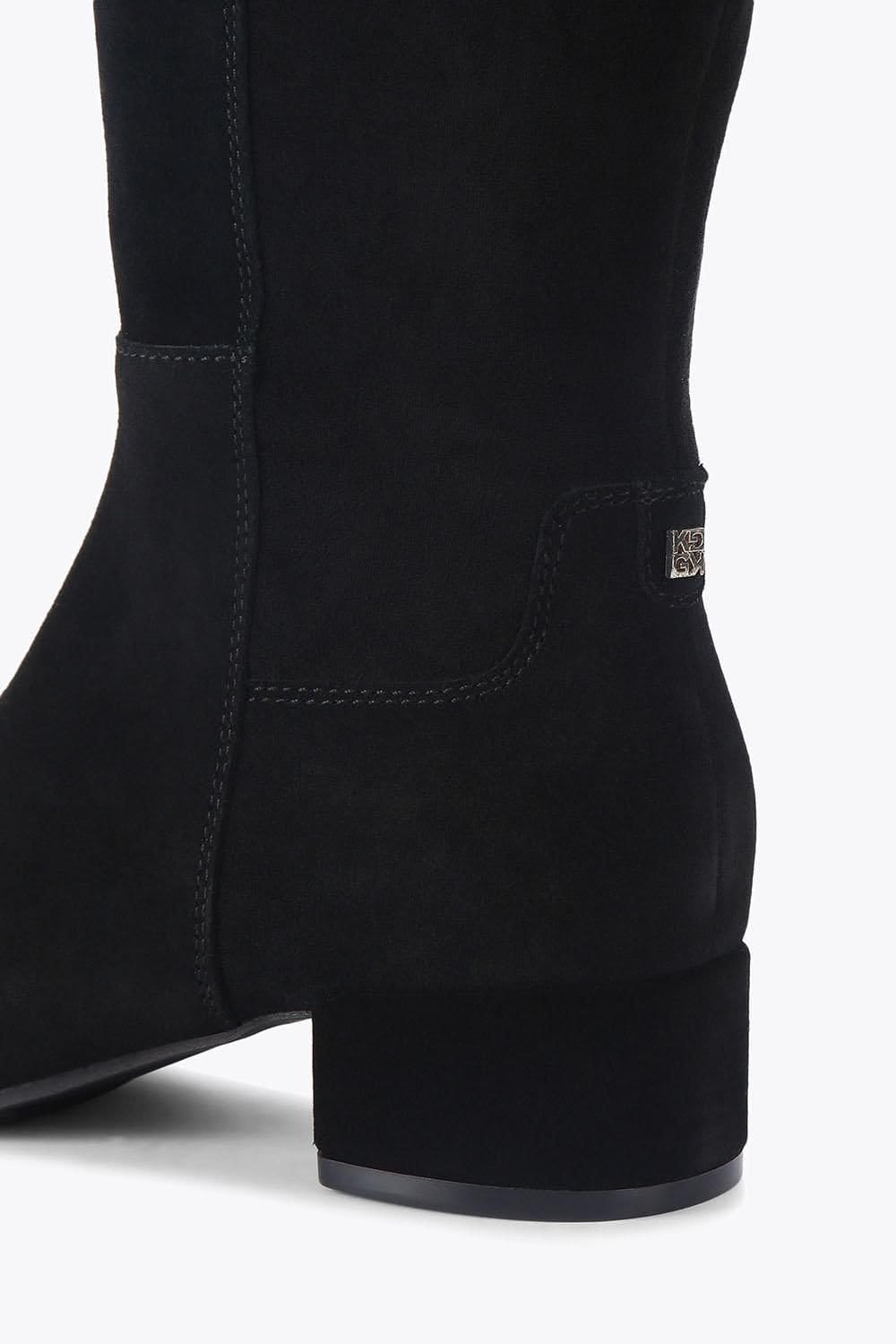 KG Kurt Geiger KG Kurt Geiger Women's 'Tabina High Leg' Suede Boots in Black - 4