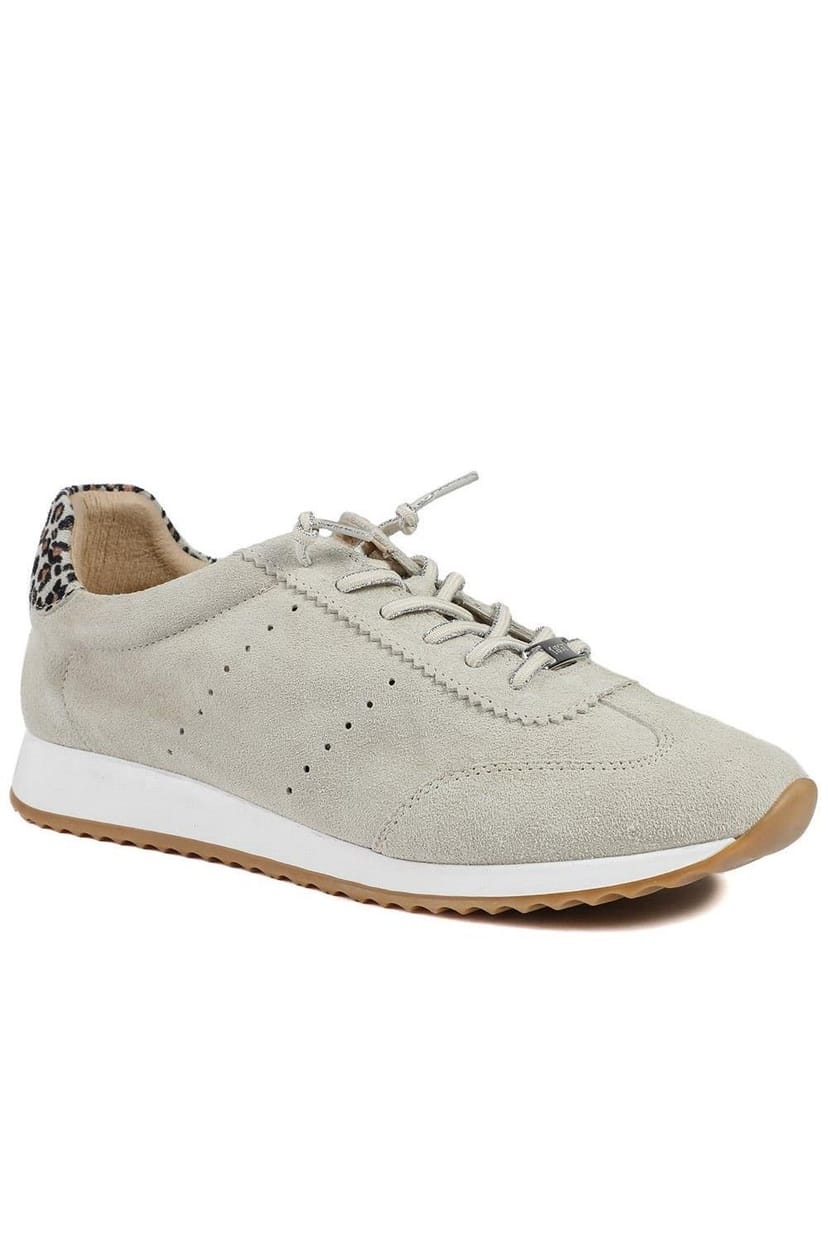 Jones Bootmaker Jones Bootmaker Women's Alenya Suede Leather Lace Up Trainers in Taupe - 1