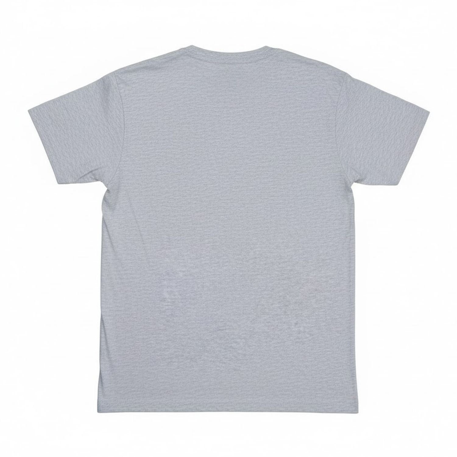 Mary Poppins Mary Poppins Men's Practically Perfect In Every Way Standing T-Shirt in Grey - 2