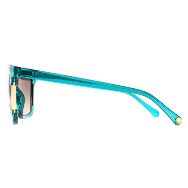 Radley Radley Women's Square Transparent Blue Brown RDS 6506 - 3