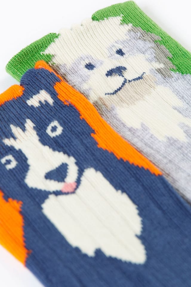 Frugi Frugi Men's Character Socks 2 Pack - 3