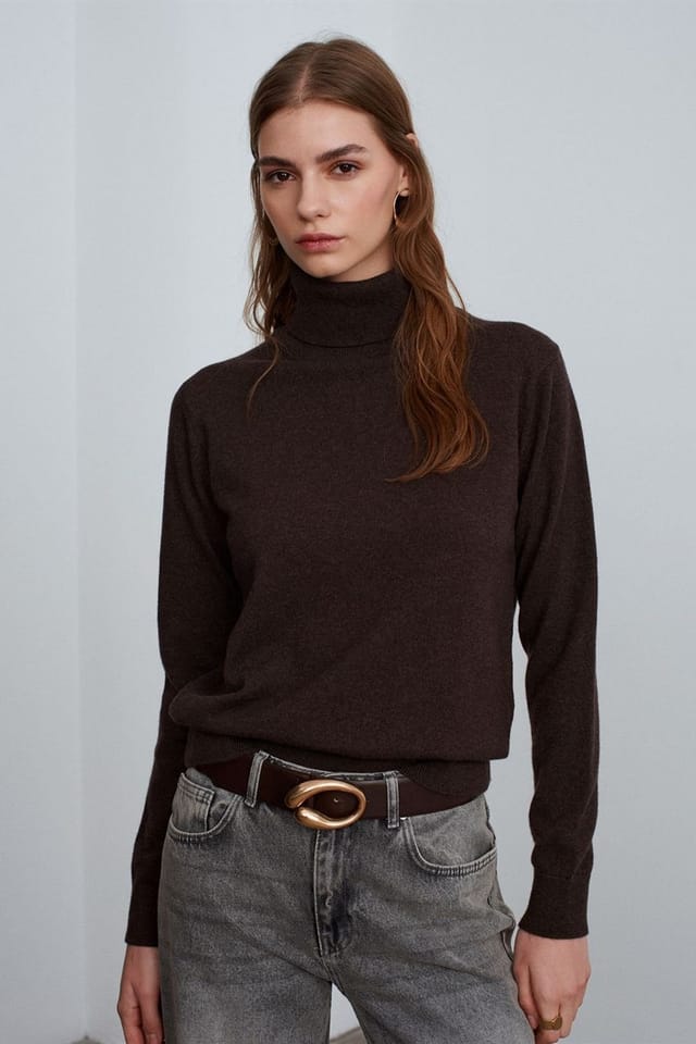 Dilvin Dilvin Women's Cashmere Turtleneck Sweater in Brown - 3