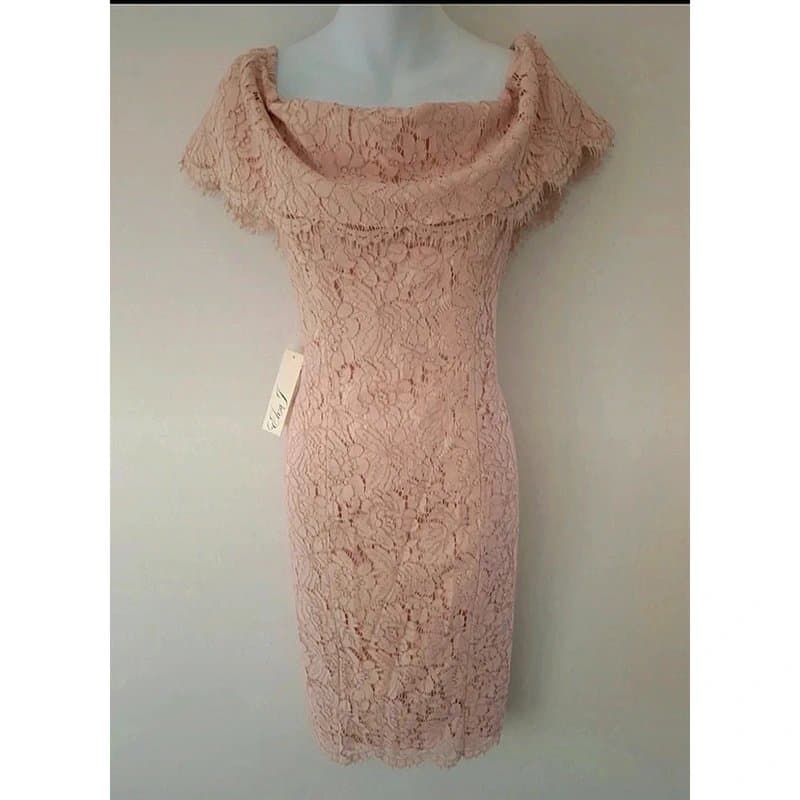 Eliza J Eliza J blush pink lace detail off the shoulder sheath dress UK size 12 brand new with tags