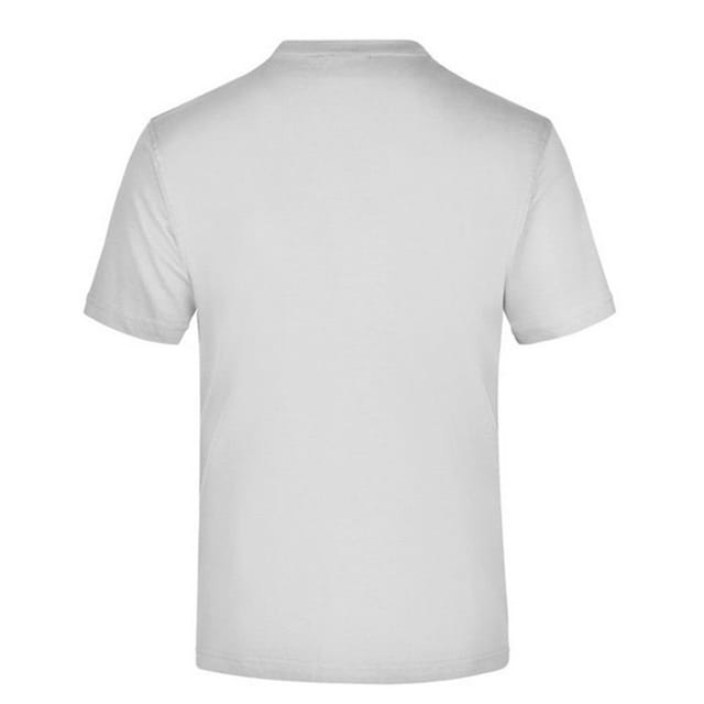James and Nicholson James and Nicholson Men's Medium Round Neck T-Shirt in Light Grey - 2