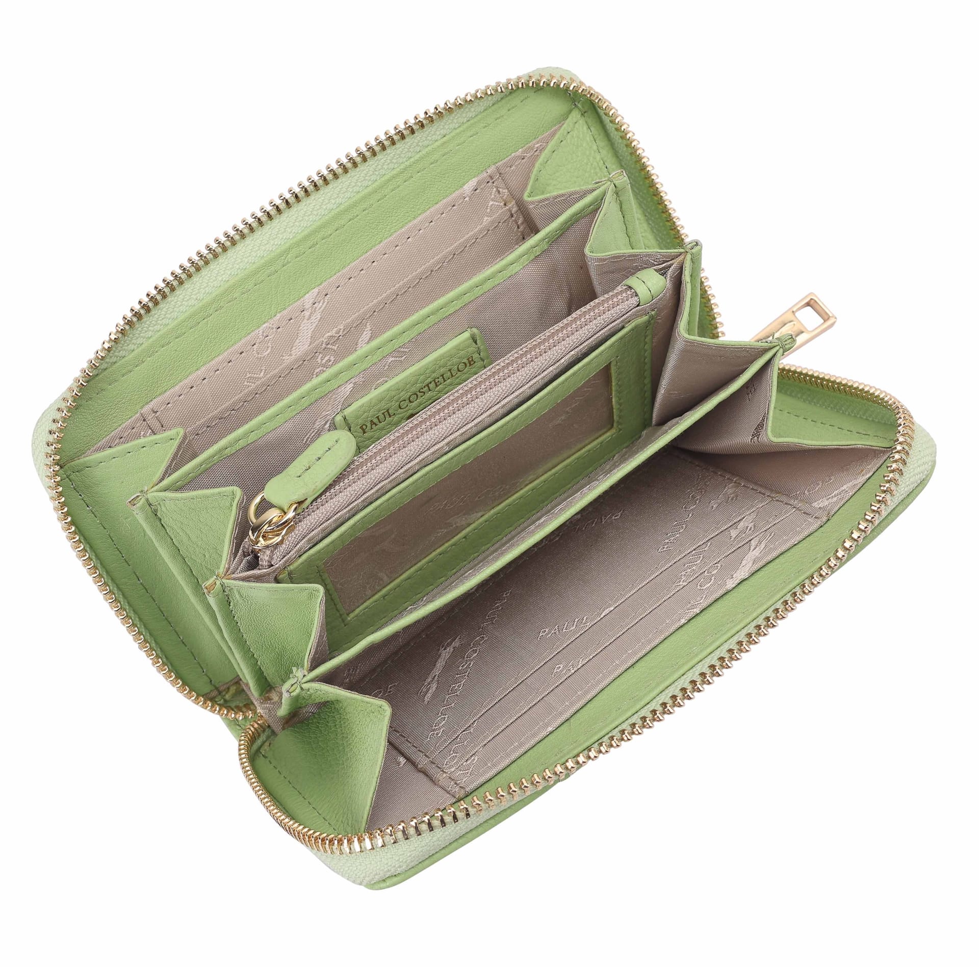 Paul Costelloe Paul Costelloe Women's Dione Leather Purse in Green - 4