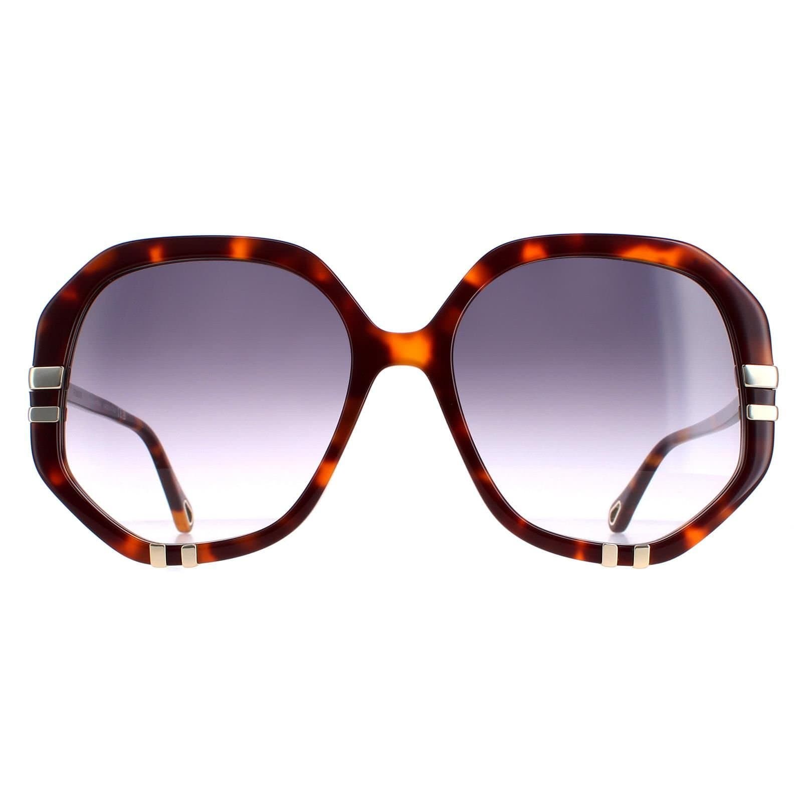 Chloé Chloé Women's Square Tortoise Grey Gradient CH0105S in Brown