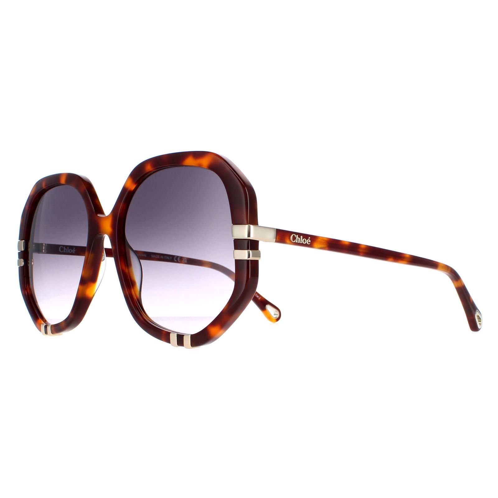 Chloé Chloé Women's Square Tortoise Grey Gradient CH0105S in Brown - 2