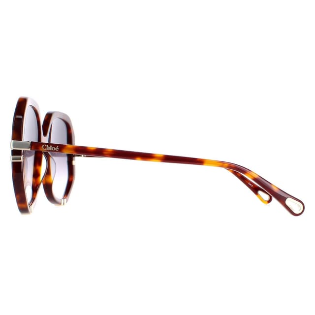 Chloé Chloé Women's Square Tortoise Grey Gradient CH0105S in Brown - 3