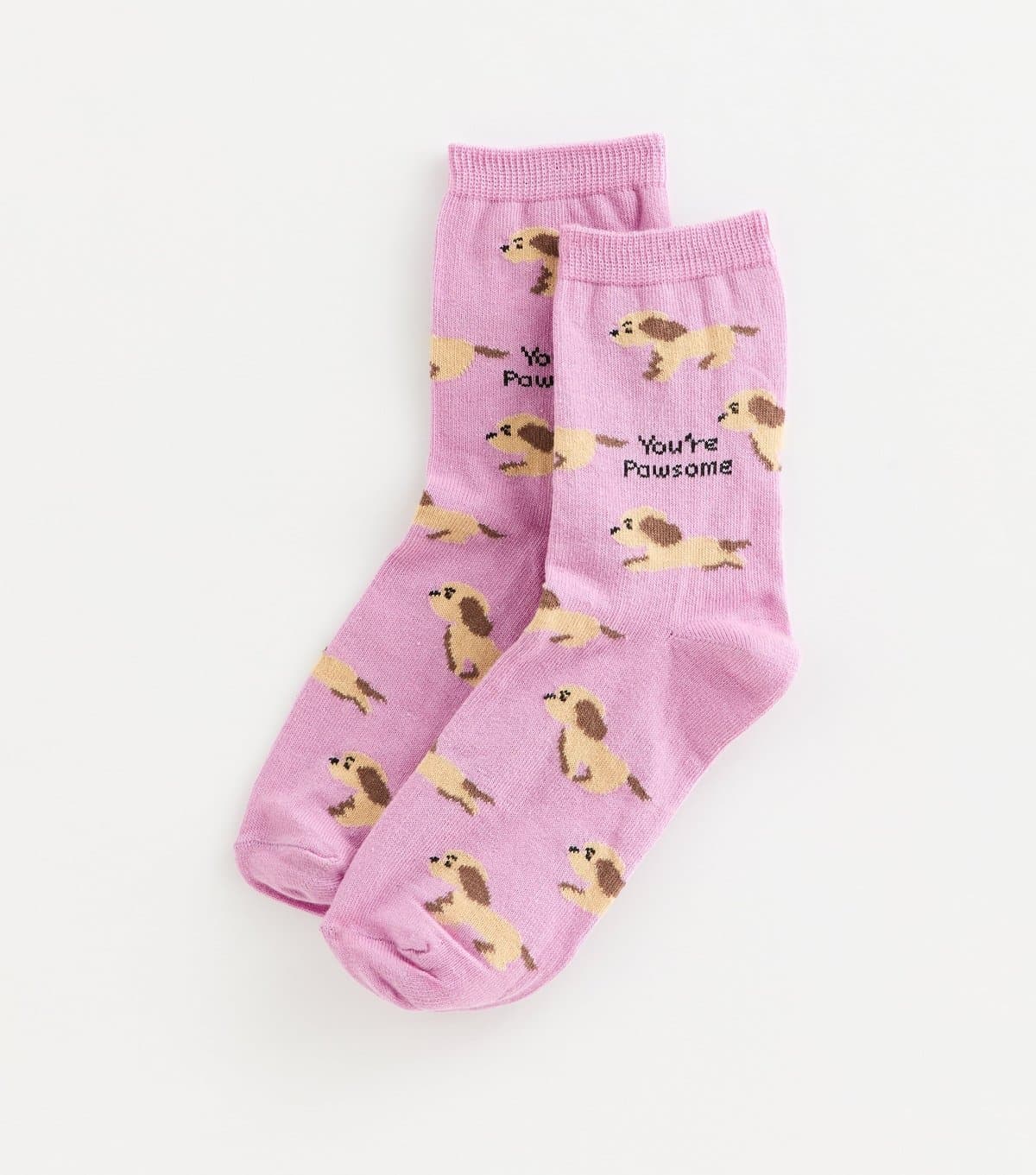 New Look Pink Cockerpoo 'You're Pawsome' Socks New Look