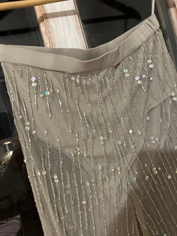 ASOS ASOS Luxe Sequinned Embellished Sheer Trousers 10 built in pants