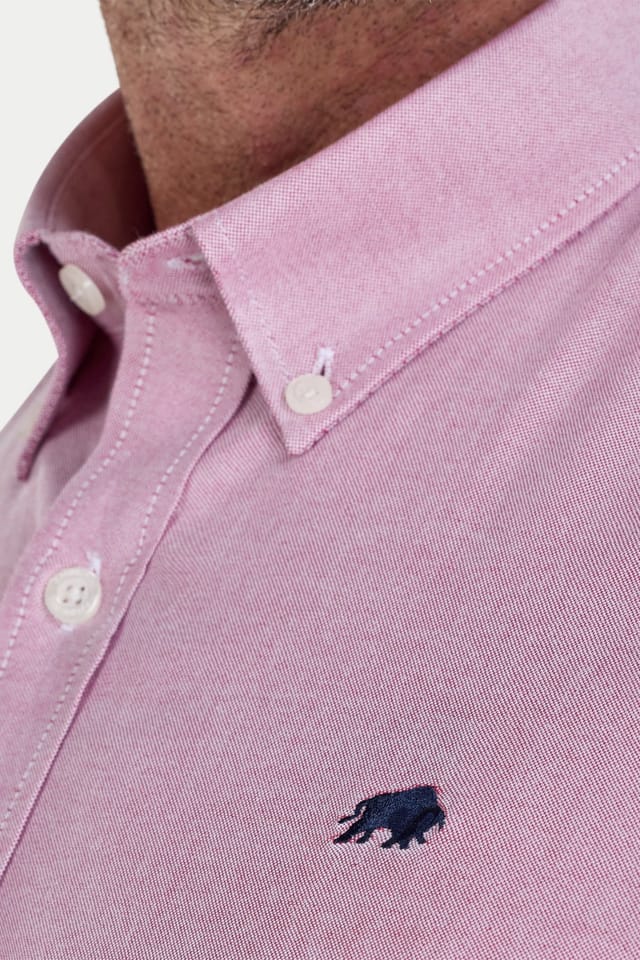 raging bull Raging Bull Men's Long Sleeve Classic Oxford Shirt in Rose - 3