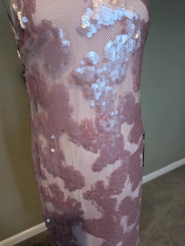 Topshop Topshop Pink Mesh Sequin Embellished Party Dress BNWT Sz 10